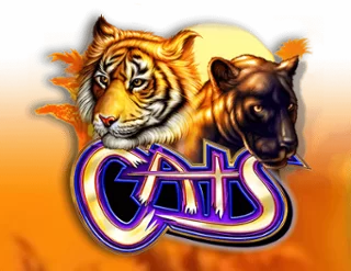Cats slot review